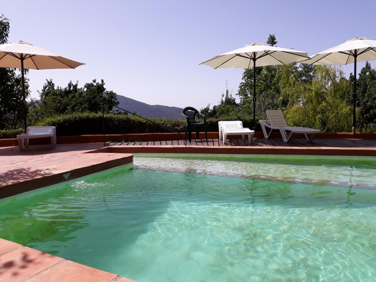 La Oveja Verde De La Alpujarra Pitres ภายนอก รูปภาพ