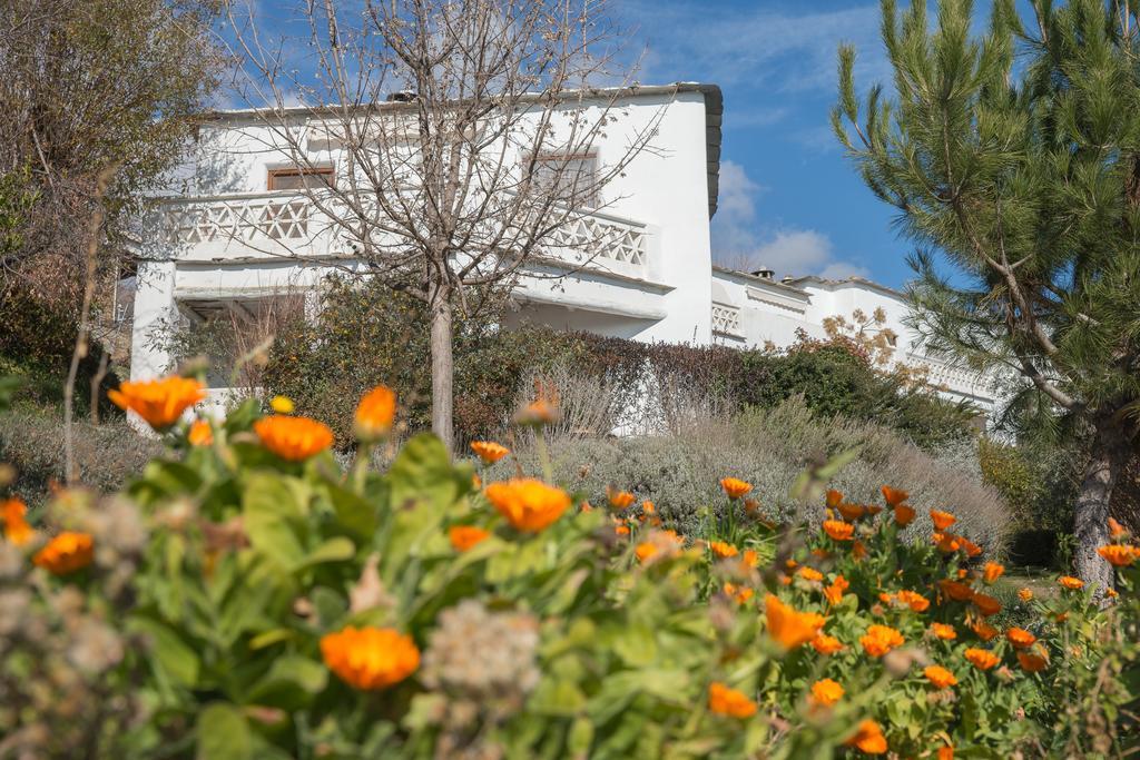 La Oveja Verde De La Alpujarra Pitres ภายนอก รูปภาพ