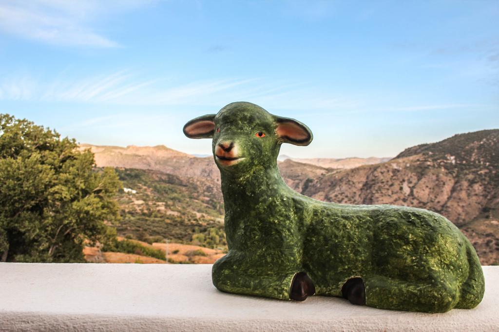 La Oveja Verde De La Alpujarra Pitres ภายนอก รูปภาพ