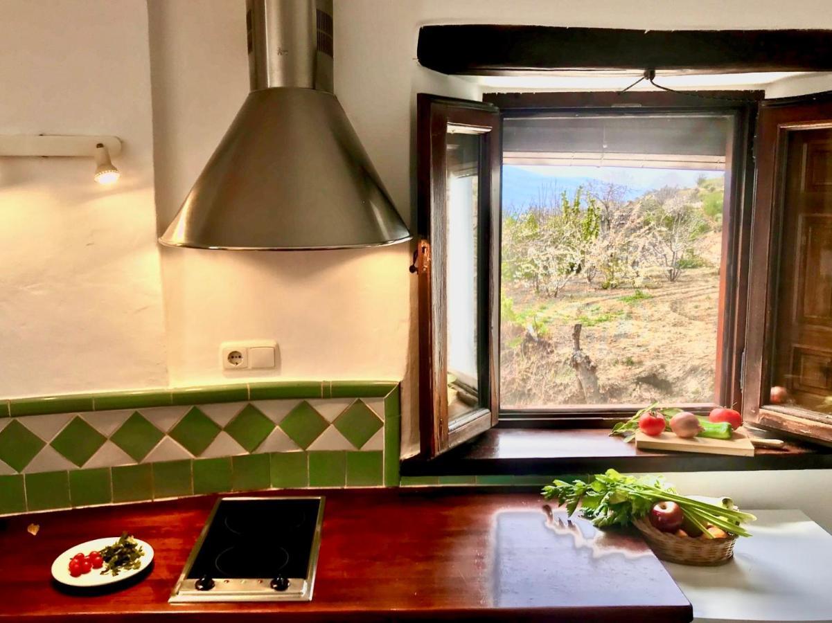 La Oveja Verde De La Alpujarra Pitres ภายนอก รูปภาพ